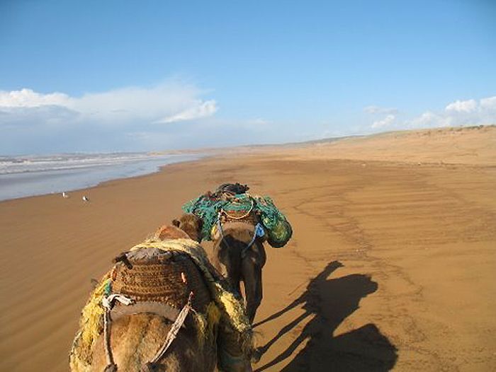 Trekking plage Sidi-Mbarek - Thierry M.