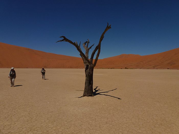 Trek en Namibie - Thierry M.