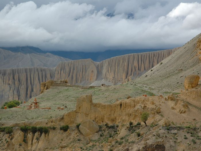 Image Mustang, le royaume caché