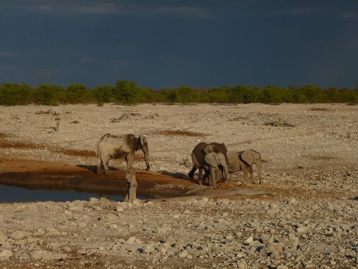 Image Namibie, Botswana et chutes Victoria