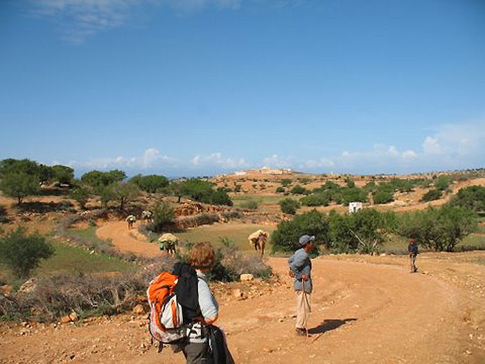 Image Essaouira, randonnée chamelière sur la côte Atlantique