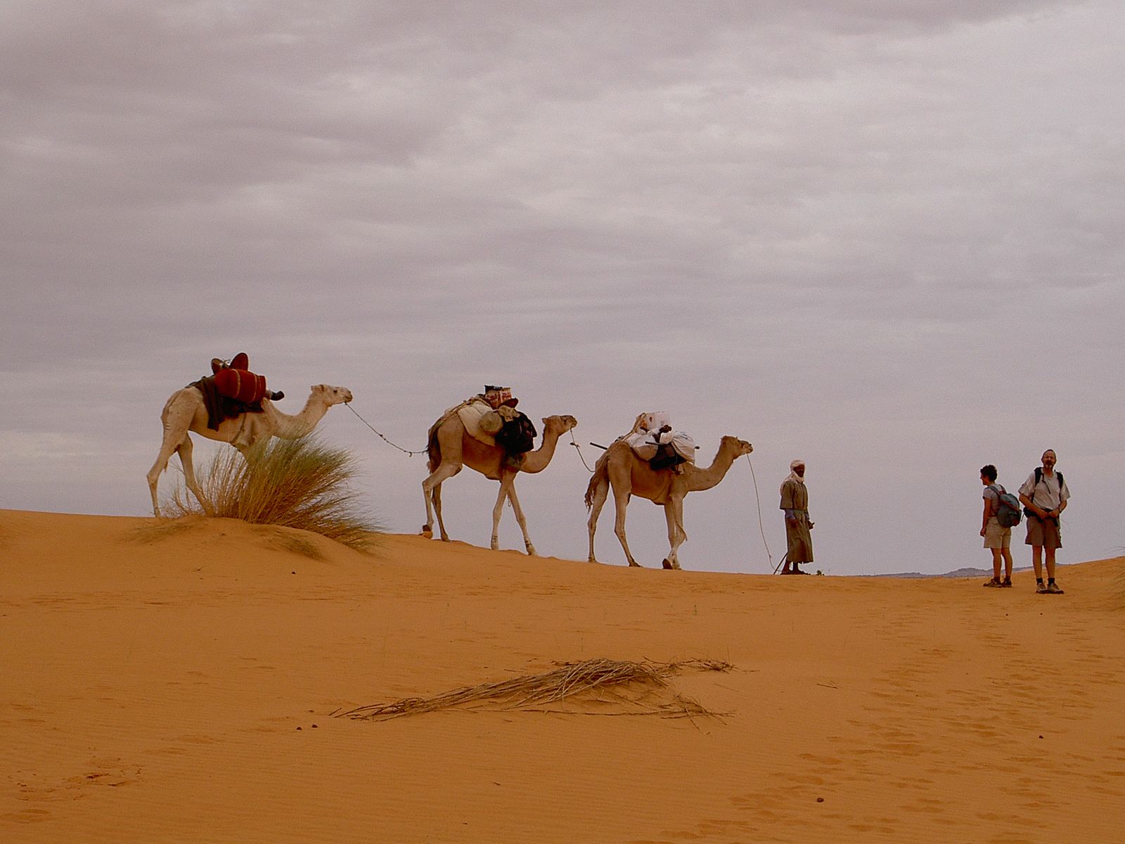 désert de Mauritanie - Thierry M.