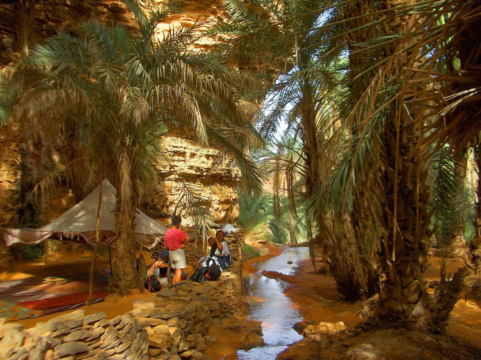 Image De Chinguetti à Terjit, oasis de l'Adrar