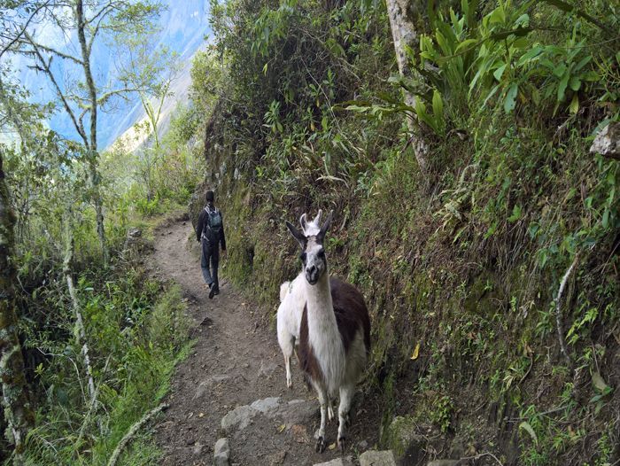 Image Rencontres en pays inca
