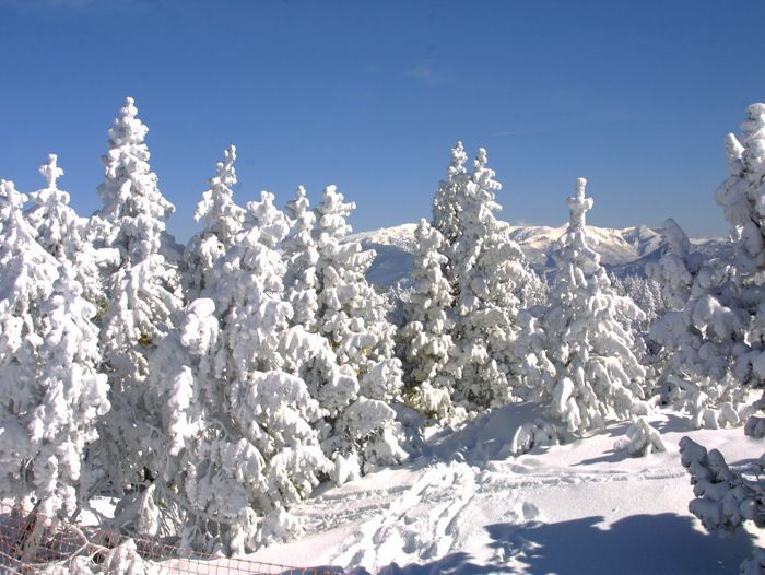 Randonnée raquette à neige Pyrénées Orientales - O.T Font Romeu