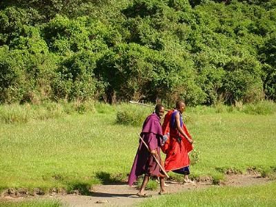 Kilimandjaro, safaris et randonnées chez les Masaï