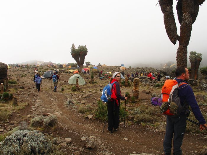 Image Kilimandjaro, voie Machame (5 895 m)