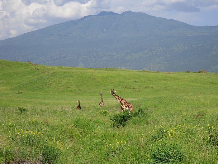 Image Trek chez les Masaïs et safaris