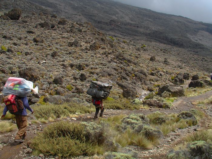 Image Kilimandjaro, voie Marangu (5 895 m)