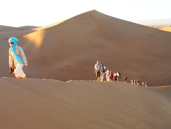 Image De la dune à l'oasis