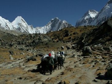 Vallée du Khumbu - Jean Do B.