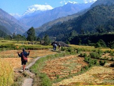 Vallée de Pokhara - JeanDo B.