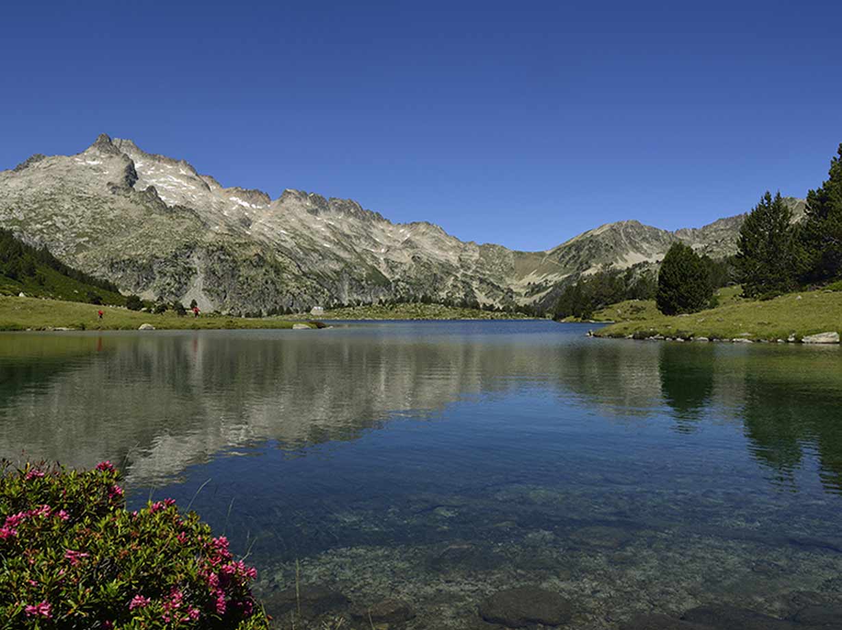 Les Grands Sites des Pyrénées en liberté
