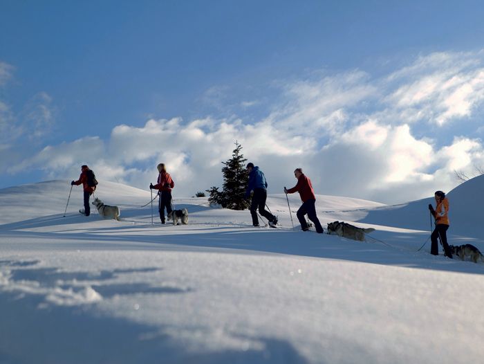 Voyage à la neige : Bregenzerwald, raquettes et remise en forme dans l\'ouest autrichien