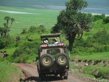 Descente dans le Ngorongoro - Thierry M.