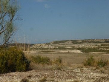 Monegros - Plaines cultivées en bordure du désert - Sarah M.