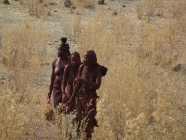 Rencontre avec les Himbas - Thierry M.