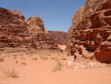 Wadi Sabrah - Sarah M.