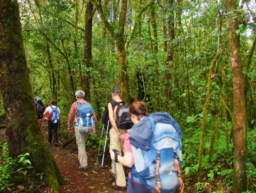 Forêt équatoriale - Thierr M.