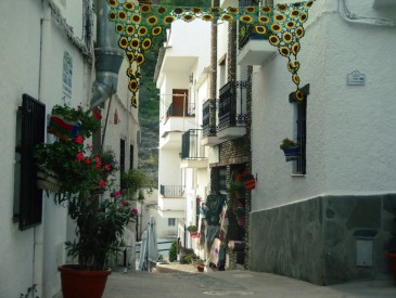 Découverte des Alpujarras, villages blancs d'Andalousie