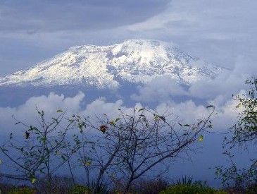 Ascension du Kilimandjaro, voie Marangu (5 895 m)