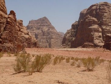 Randonnée désert du Wadi Rum - Sarah M.
