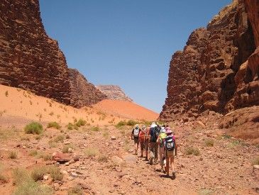 Désert du Wadi Rum - Sarah M.