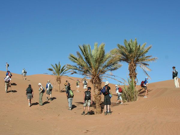 Maroc (déserts)